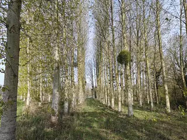 Terrain vente à Dinan, Bretagne