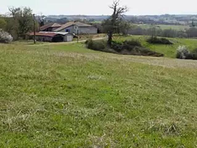 Maison vente à France métropolitaine, Caupenne