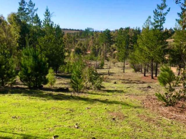 Terreno en venta en Cauquenes, Maule