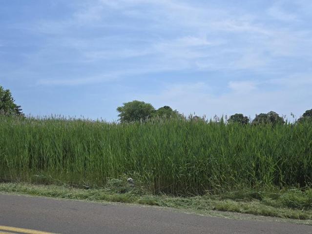 Land for sale in Clinton, Connecticut