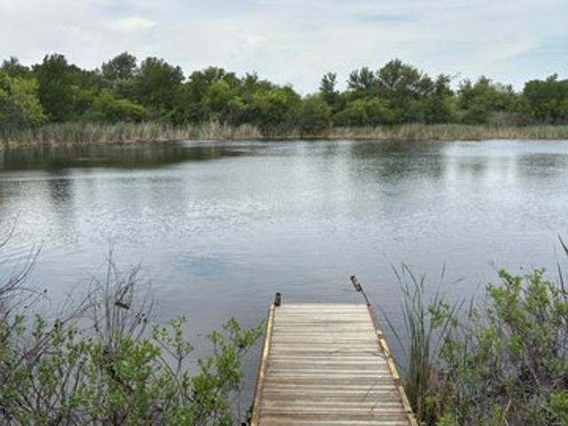 Land for sale in Jacksboro, Texas
