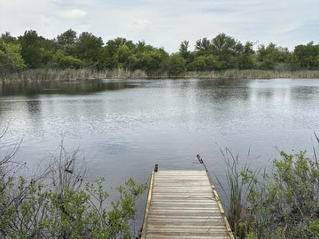 Land for sale in Jacksboro, Texas