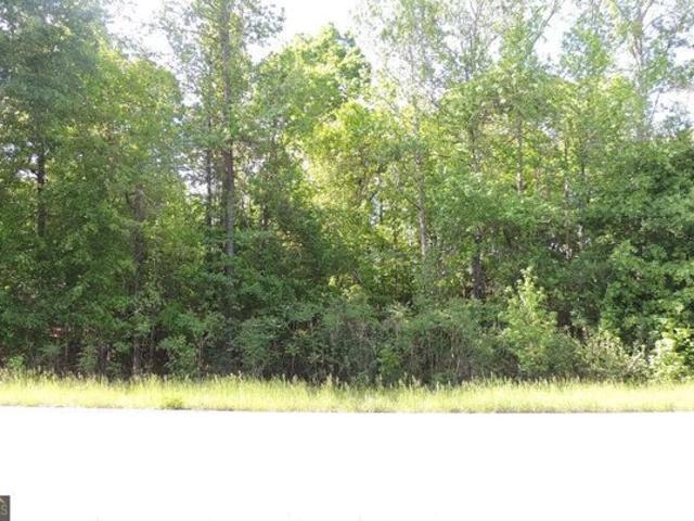 Land for sale in Georgia