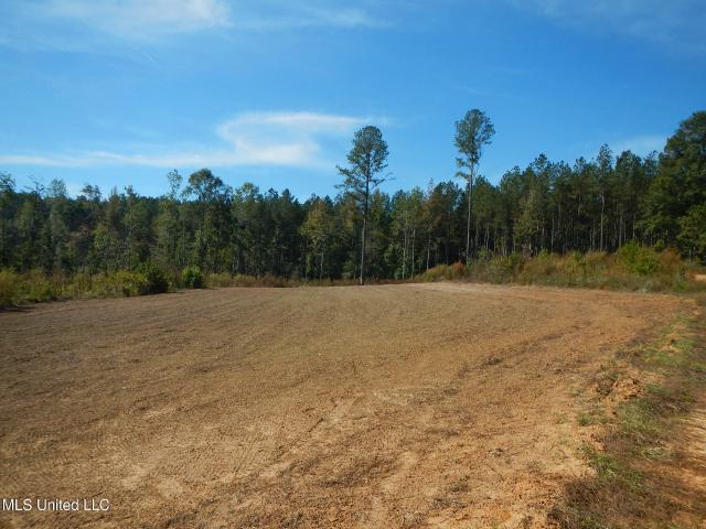 Land for sale in Meridian, Mississippi