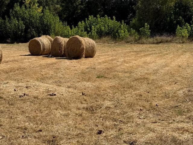 Terrain vente à Montauban, Caussade