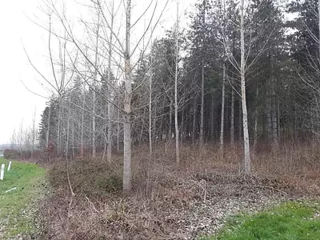 Terrain vente à Agen, Cauzac