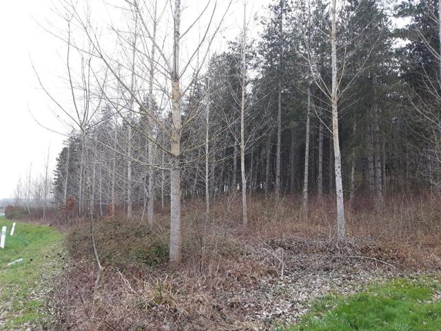 Terrain vente à Agen, Cauzac