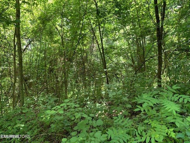 Land for sale in Tennessee