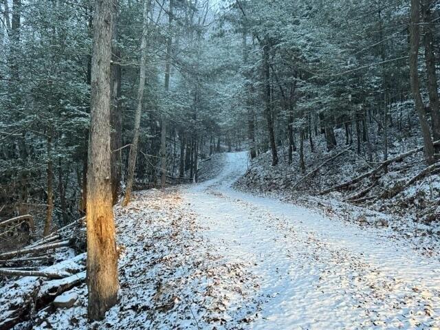 Land for sale in Wolfe, Kentucky
