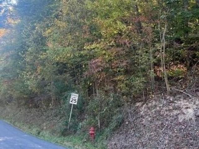 Land for sale in Pennington Gap, Lee County