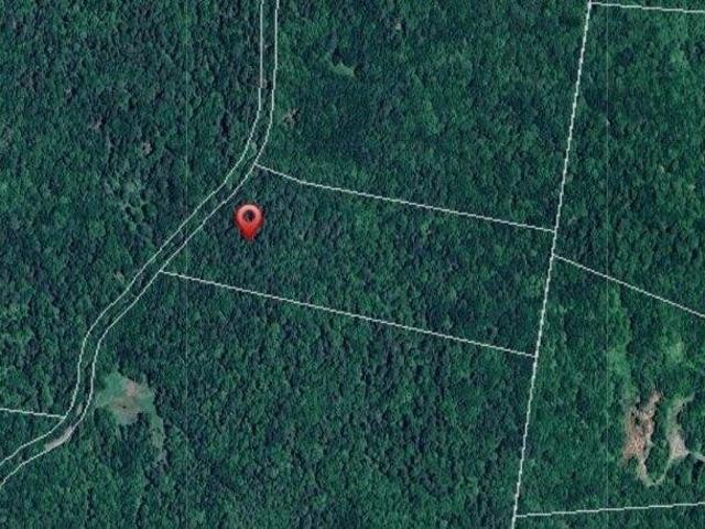 Land for sale in Cavendish, Vermont