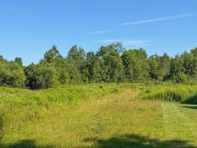Land for sale in Cavendish, Vermont