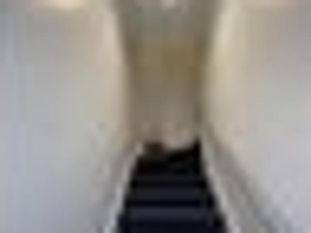 Apartment for rent in Clyde Hill, Dunedin