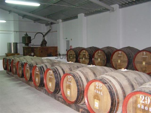 Armazém venda em Anadia, Aveiro