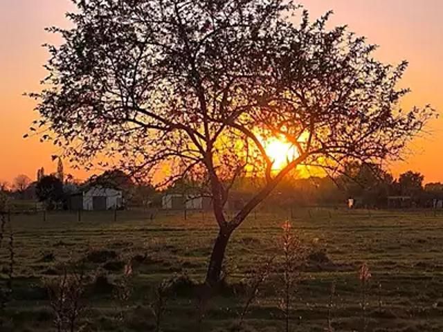 Terrain vente à France métropolitaine, Cavignac