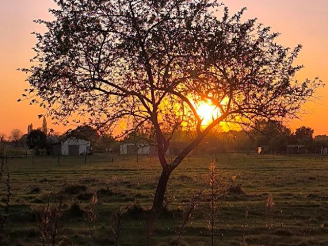Terrain vente à France métropolitaine, Cavignac