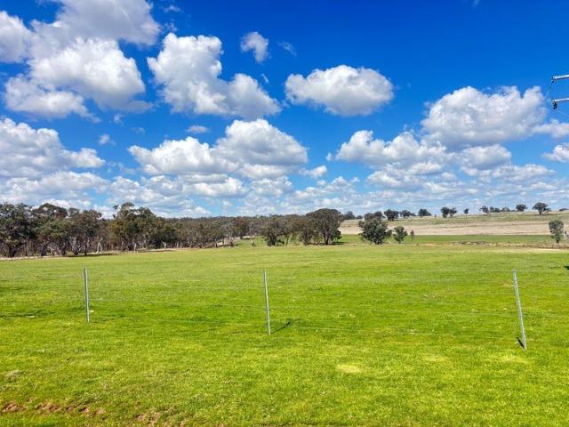 Cottage for sale in Binnaway, New South Wales