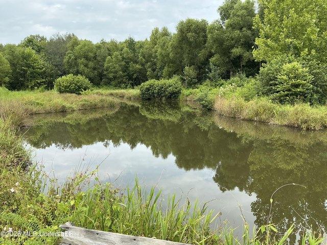 Land for sale in Byhalia, Mississippi