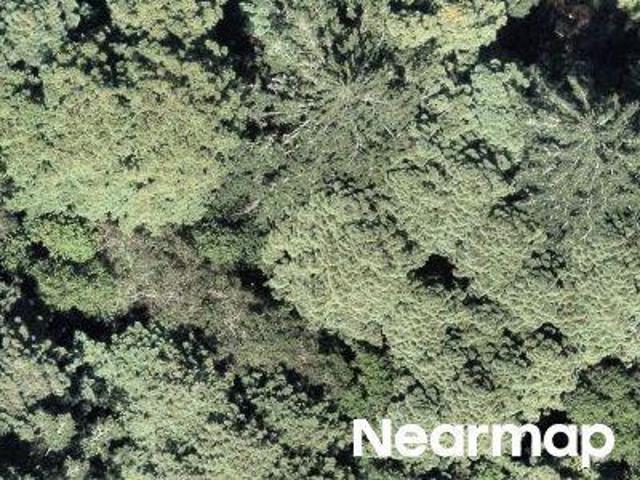Land for sale in Cazadero, California