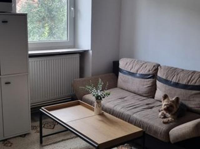 Apartament închirieri în Cluj-napoca, Cluj