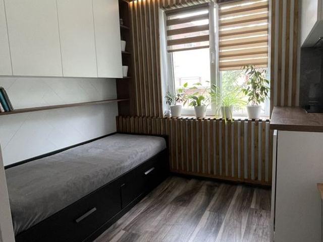 Garsonieră închirieri în Cluj-napoca, Cluj