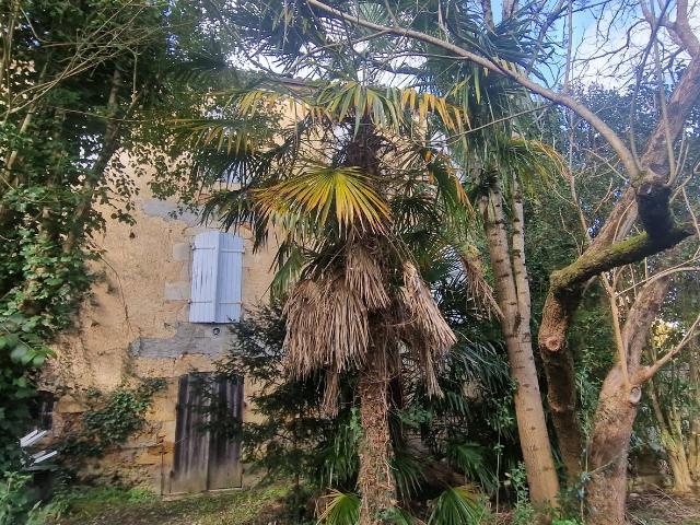 Maison vente à Condom, Cazaubon