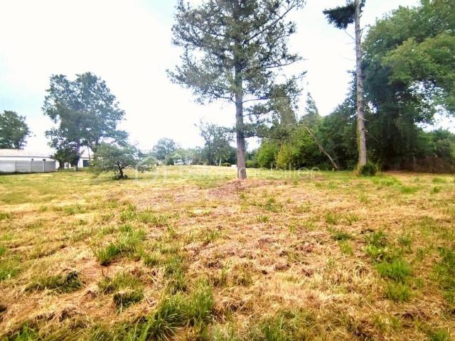 Terrain vente à Mont-de-Marsan, Cazères-sur-l'adour