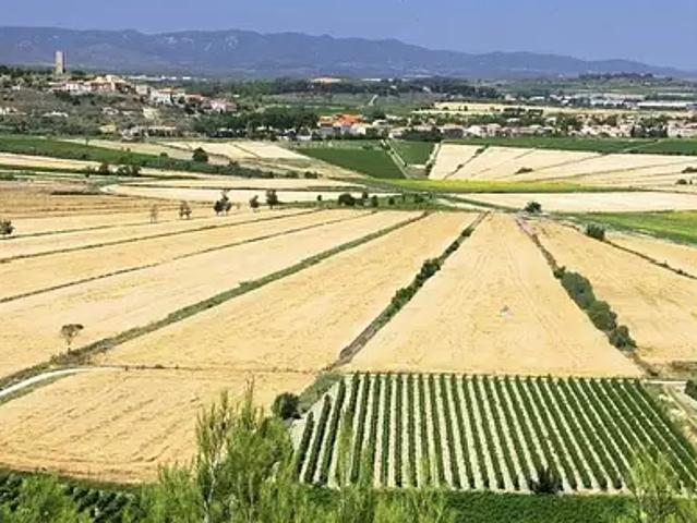 Terrain vente à Béziers, Cazouls-lès-béziers