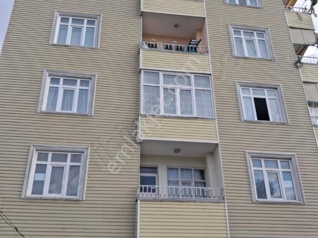 Çarşamba, Samsun içerisinde kiralık mülk