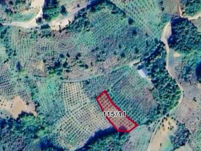 Şile, İstanbul içerisinde satılık Arsa