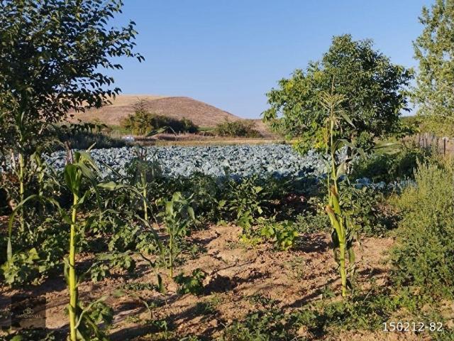 Kastamonu Merkez, Kastamonu içerisinde satılık Arsa