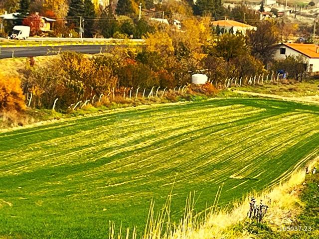 Beypazari, Ankara içerisinde satılık Arsa