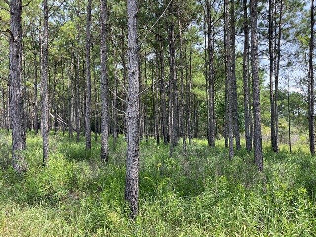 Land for sale in Lucedale, George County