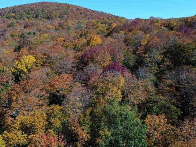 Land for sale in Vermont