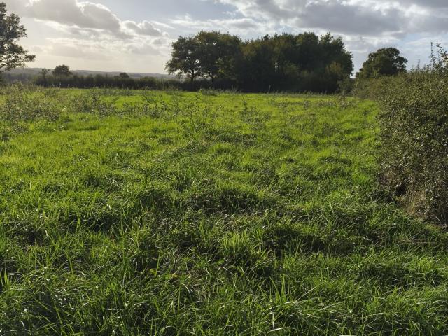 Terrain vente à Châteauroux, Ceaulmont