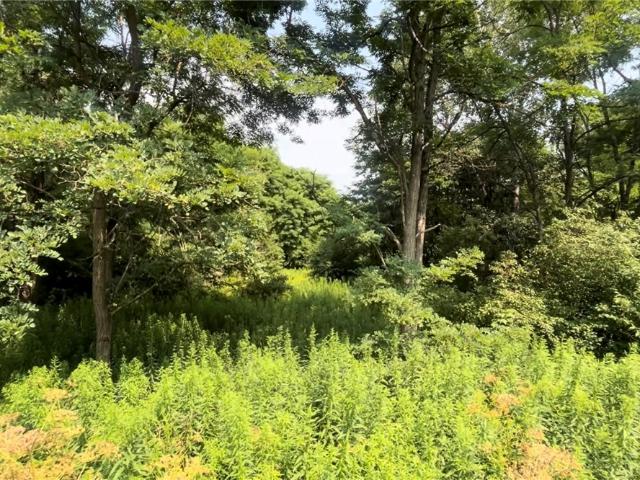 Land for sale in Town of Caroline, Tompkins County