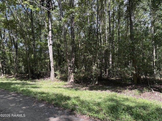 Land for sale in Abbeville, Vermilion Parish