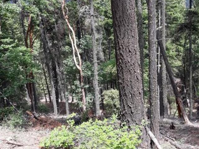 Land for sale in Forks Of Salmon, California