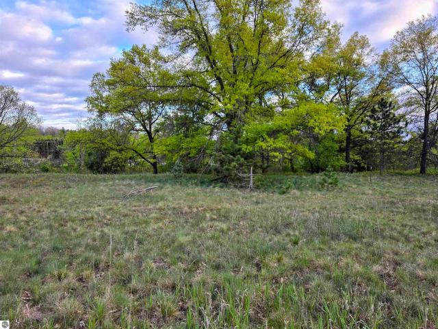 Land for sale in Evart, Michigan