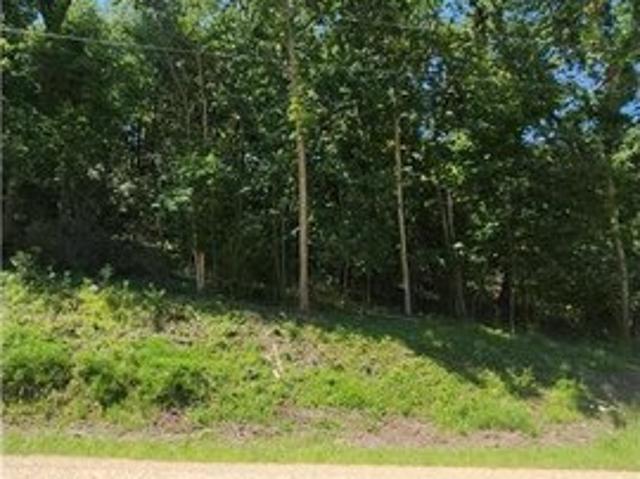 Land for sale in Oronoco, Minnesota