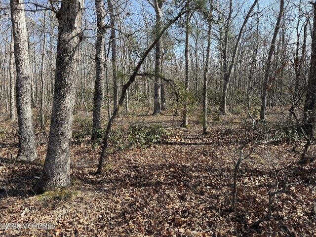 Land for sale in Manahawkin, New Jersey