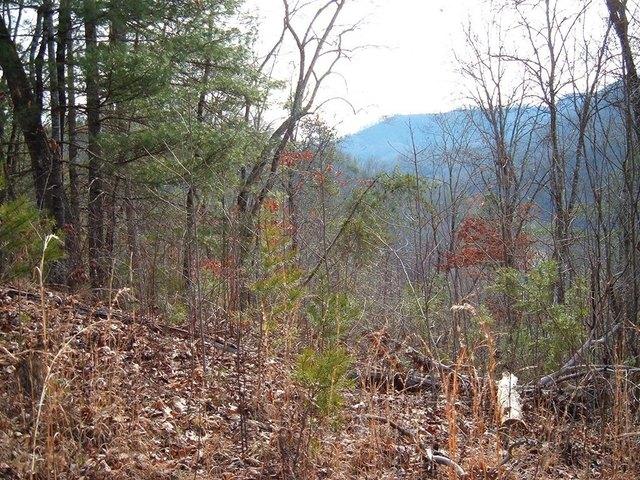 Land for sale in Tuckasegee, North Carolina