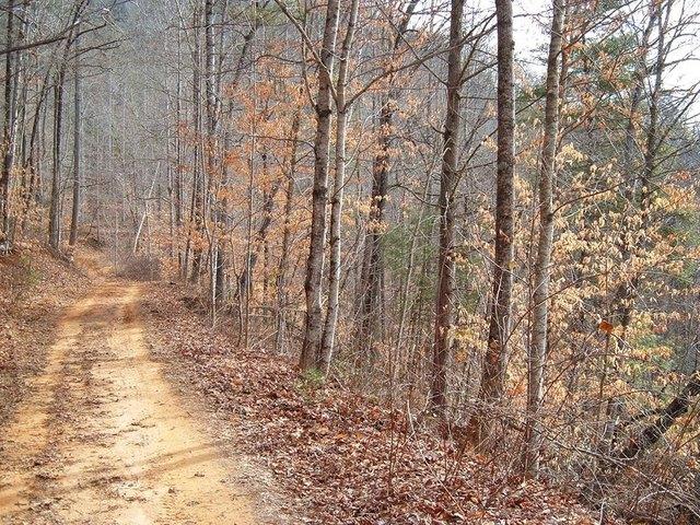 Land for sale in Tuckasegee, North Carolina