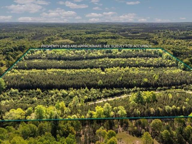 Land for sale in Fife Lake, Michigan