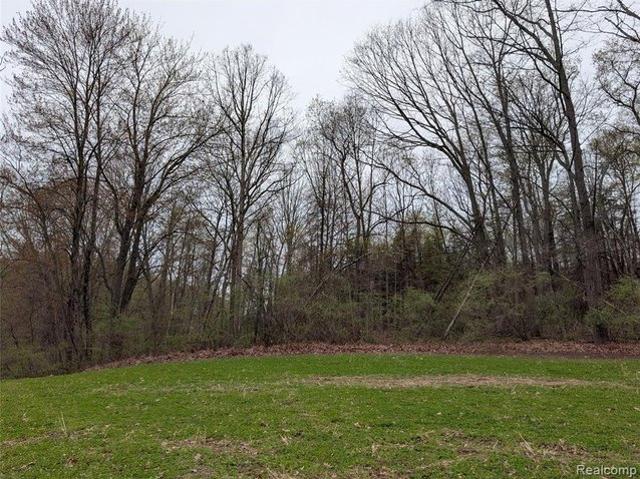 Land for sale in Arcadia, Michigan
