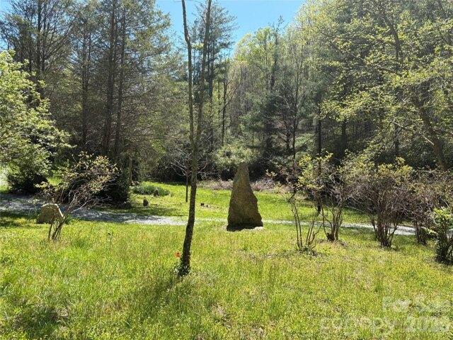 Land for sale in Black Mountain, North Carolina