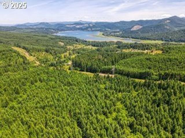 Land for sale in Cottage Grove