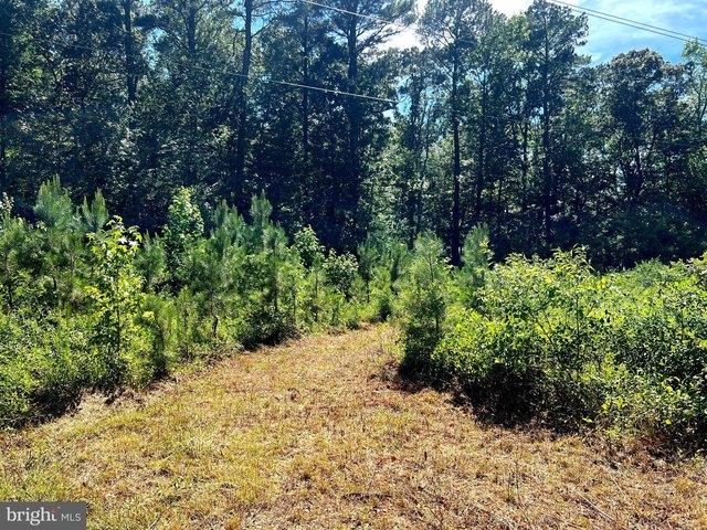 Land for sale in Wicomico, Maryland