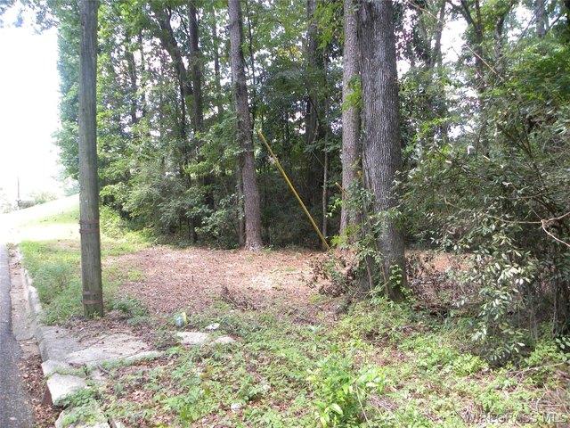 Land for sale in Dale, Alabama