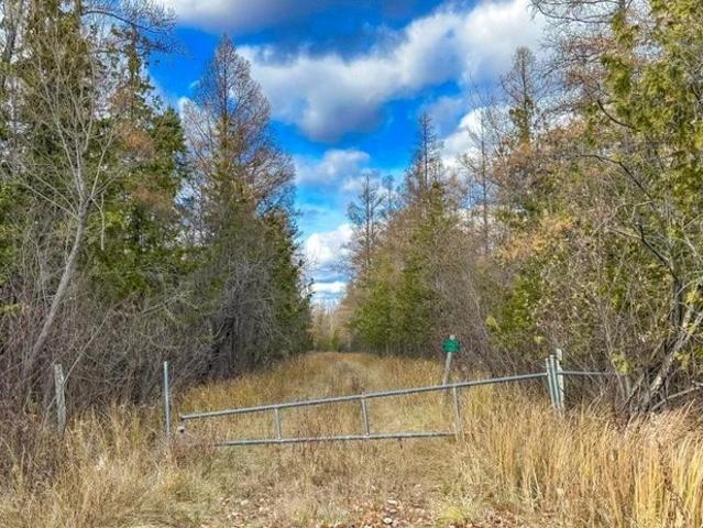 Land for sale in Hubbard Lake, Alcona Township